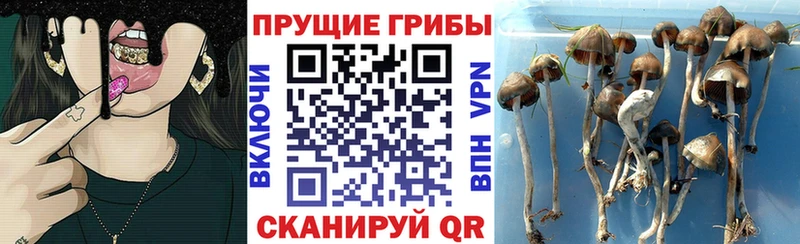 Галлюциногенные грибы прущие грибы  даркнет сайт  Елабуга 